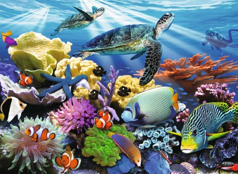 RAVENSBURGER Puzzle Ocean Life XXL 200 Teile