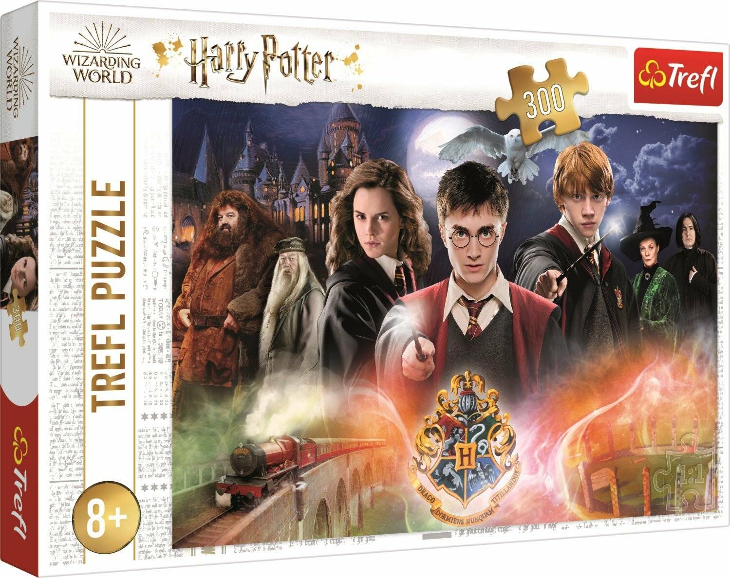 TREFL Mysteriöses Harry Potter Puzzle 300 Teile