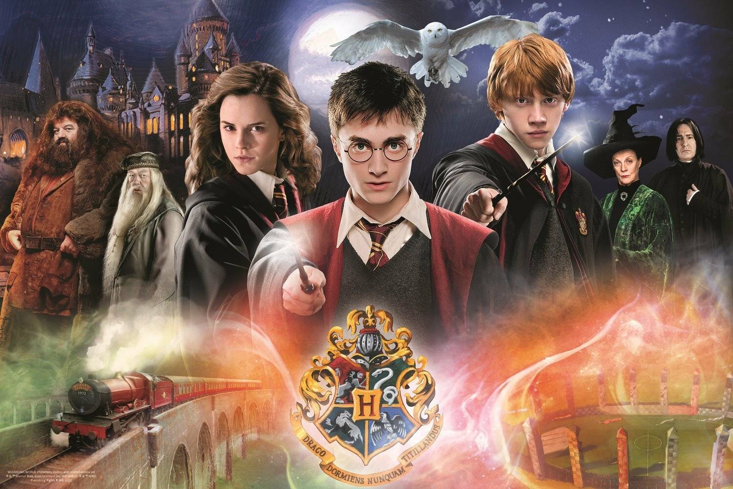 TREFL Mysteriöses Harry Potter Puzzle 300 Teile