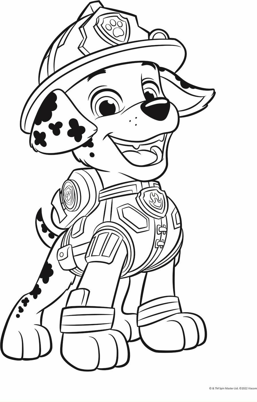 TREFL Doppelseitiges Rätsel Tawny Patrol: Himmel und Trümmer