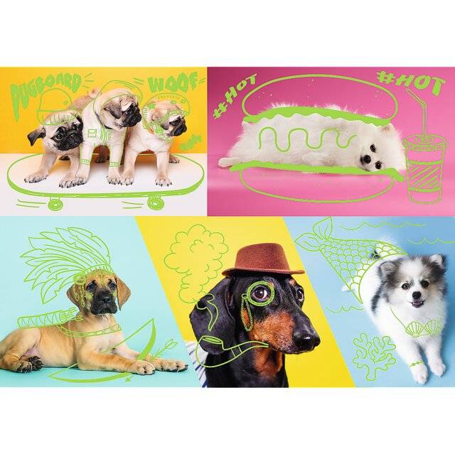 TREFL Puzzle Neon Color Line Dog Relax 1000 Teile