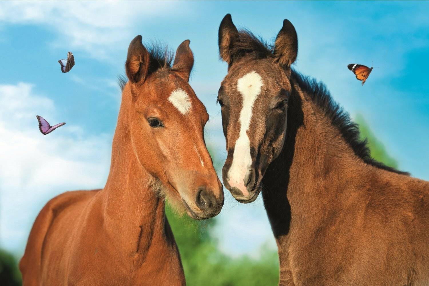 TREFL Puzzle Niedliche Tiere: Pferdepaar 54 Teile