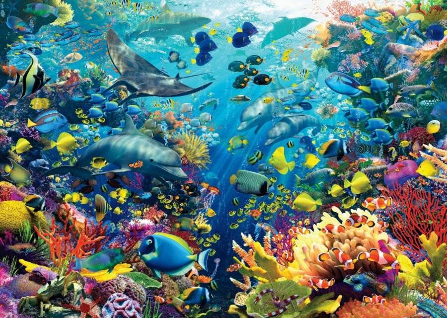 RAVENSBURGER Puzzle Unterwasserparadies 9000 Teile