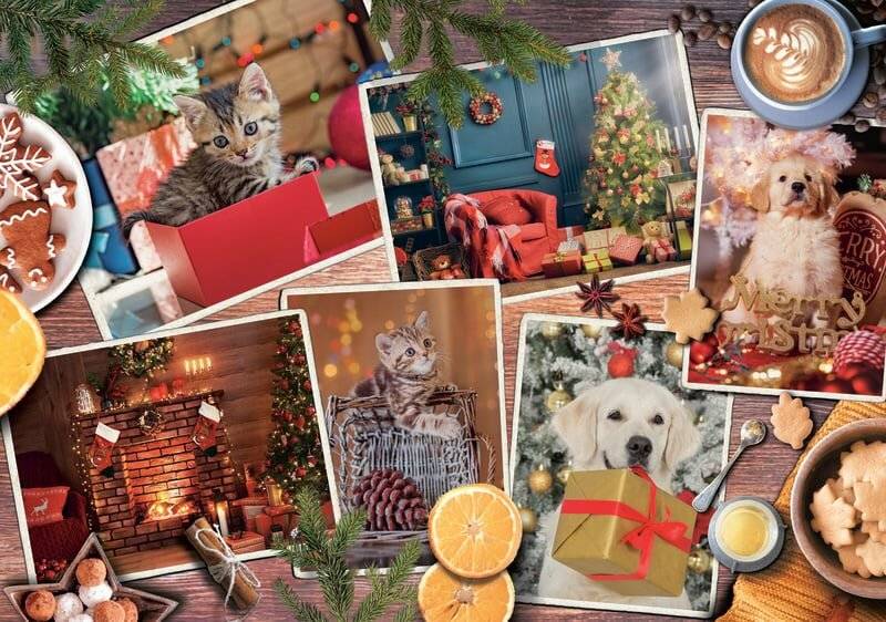 TREFL Puzzle Magic Christmas Time 1000 Teile