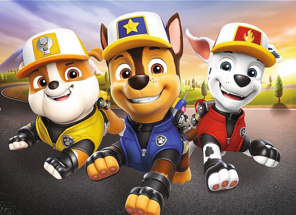 TREFL Display Puzzle Paw Patrol: Dog Heroes 20 Teile ( 24 Stü ck)