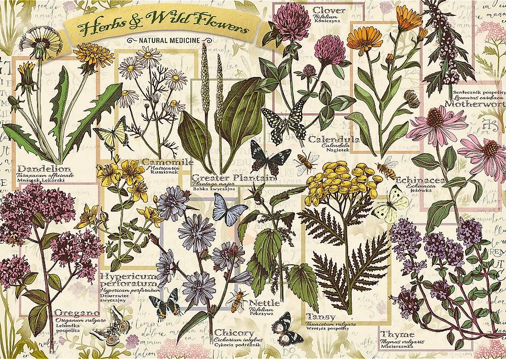 TREFL Puzzle Herbarium: Heilkrä uter 500 Teile
