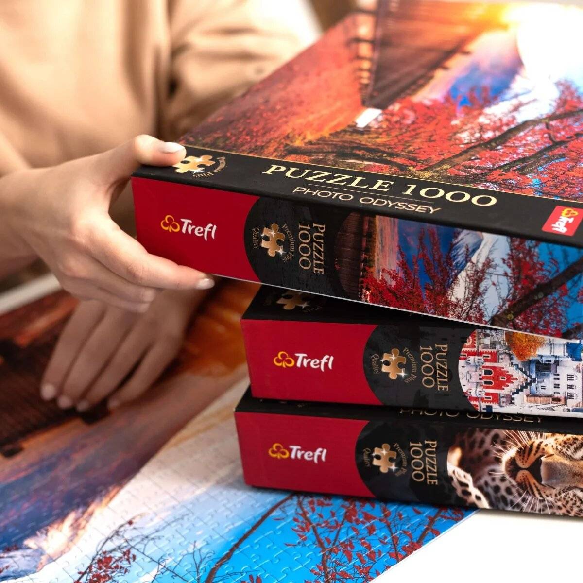 TREFL Puzzle Premium Plus Photo Odyssey: Rakotzø Brü cke in Kromlau 1000 Teile