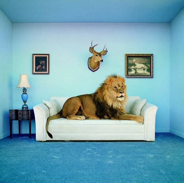 Clementoni 250Pcs.Puzzle Frame The Master Of The H