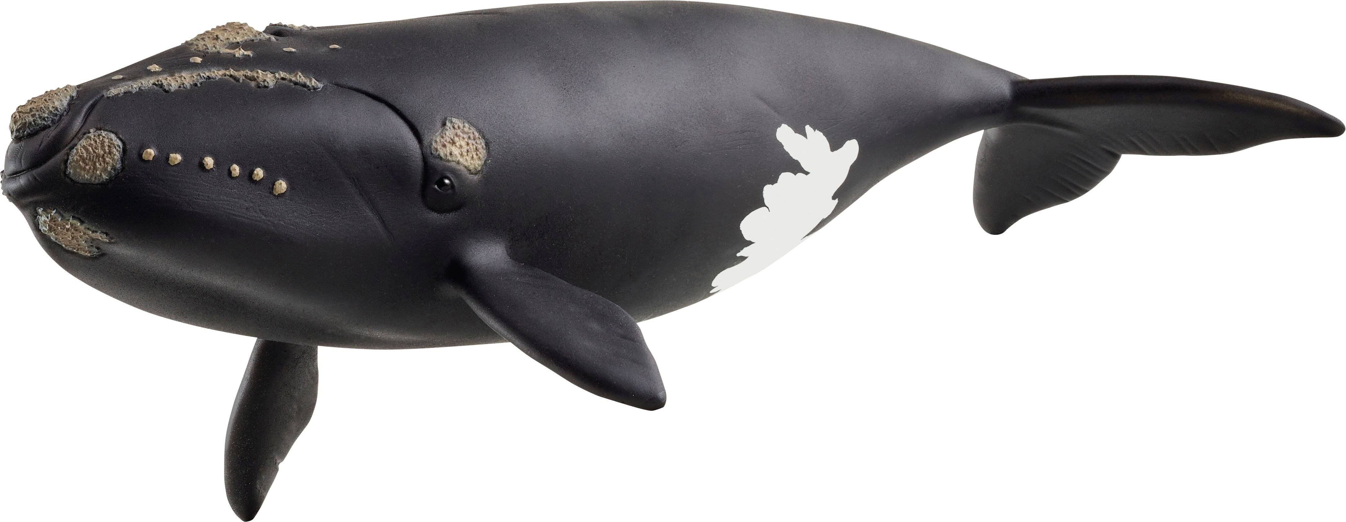 Schleich Wild Life Nordatlantischer Glattwal