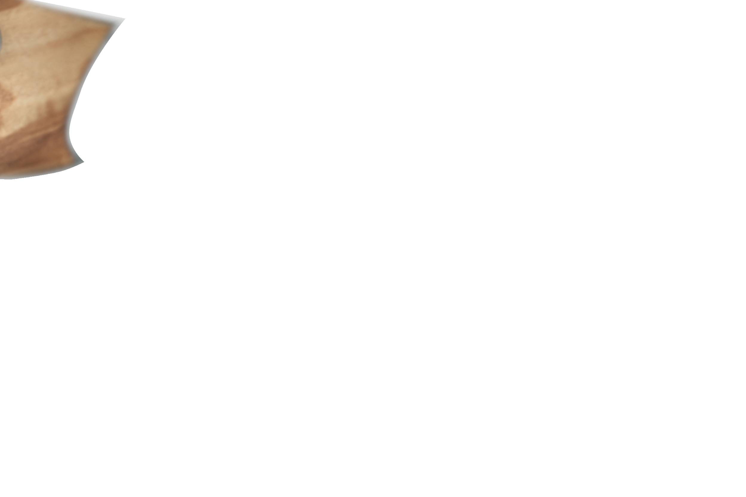 Wüsthof Amici Brotmesser 23 cm | mit Präzisions-Doppelwelle