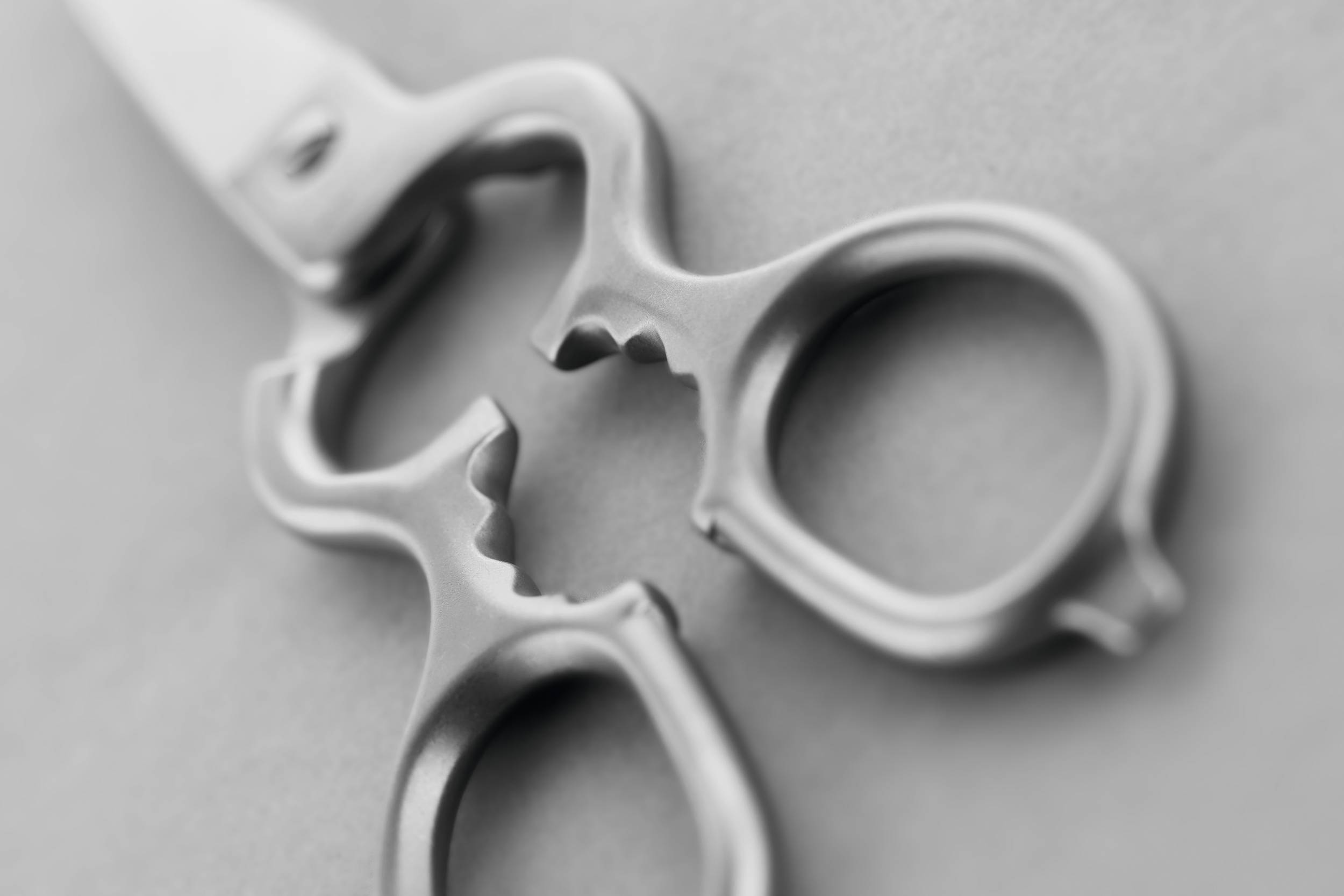 Wüsthof Küchenschere