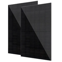 Vale Solarmodule 2 x 450 Watt bifazial Glas-Glas Full black Vale Solarmodule 2 x 450 Watt bifazial Glas-Glas Full black