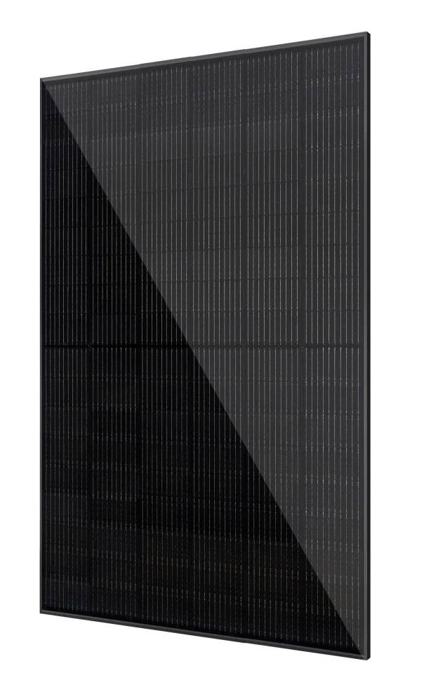Vale Solarmodule 2 x 450 Watt bifazial Glas-Glas Full black
