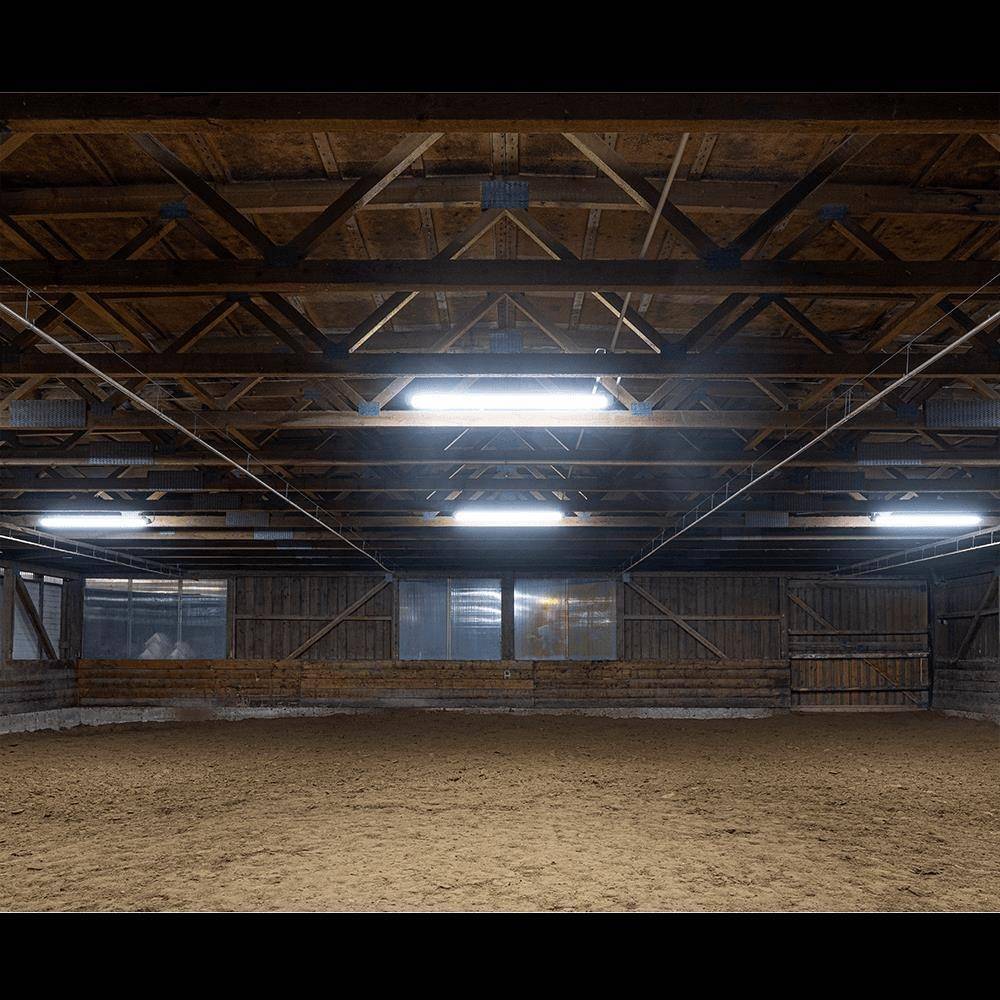 DOTLUX LED-Feuchtraumleuchte MISTRALexit IP66 1540mm max. 40W POWERselect 4000K gefrostet mit interner Batterie 3h Notbeleuchtung