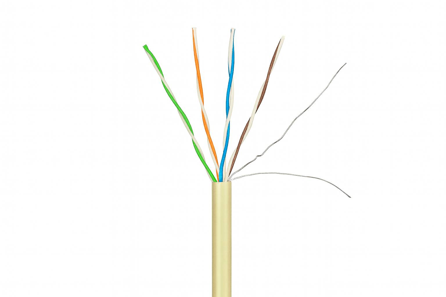 Eine Nahaufnahme eines Ethernet-Kabels mit acht freiliegenden, farbcodierten verdrillten Drähten, die sich vom Ende erstrecken.