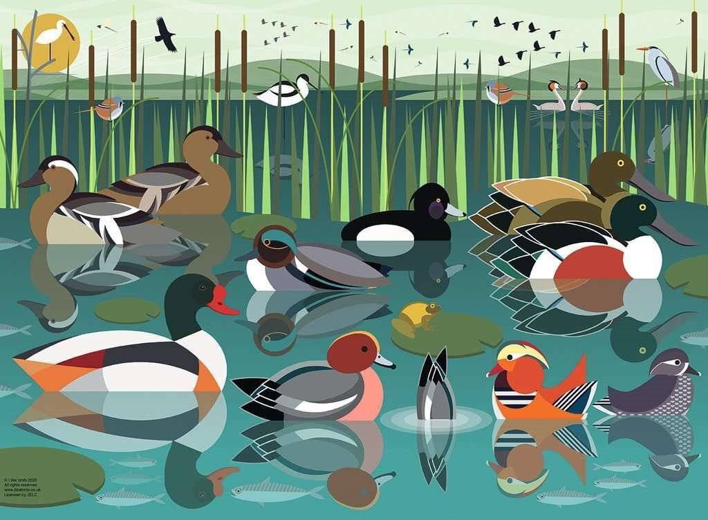 RAVENSBURGER Puzzle Ich mag Wasservögel 500 Teile