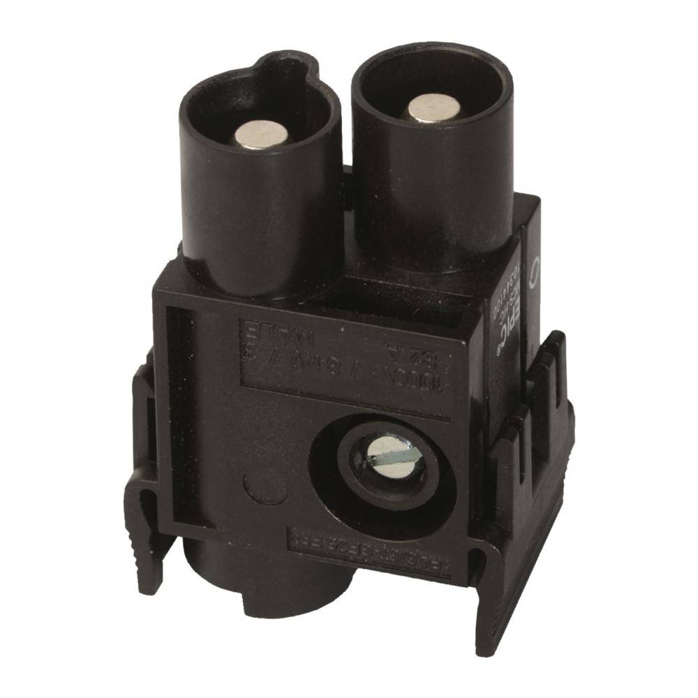 Ein schwarzer elektrischer Stecker mit zwei runden Stiften, Frontansicht.