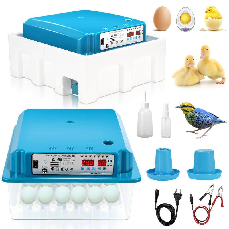 Brutmaschine Mit LED-Eierlicht Ei-Inkubator Flächenbrüter mit LCD-Anzeige 35-36w für Hühner, Enten und andere Küken 36 Eier Grün