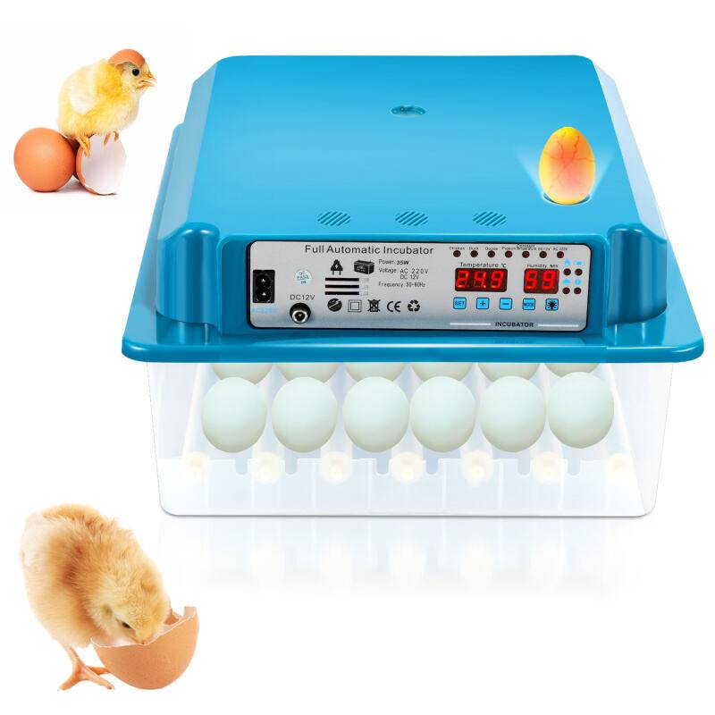 Brutmaschine Wendesystem+Temperatursteuerung Mit LED-Eierlicht mit LCD-Anzeige für Hühnergans Ente Taube Wachtel Vogel 36 Eier Grün