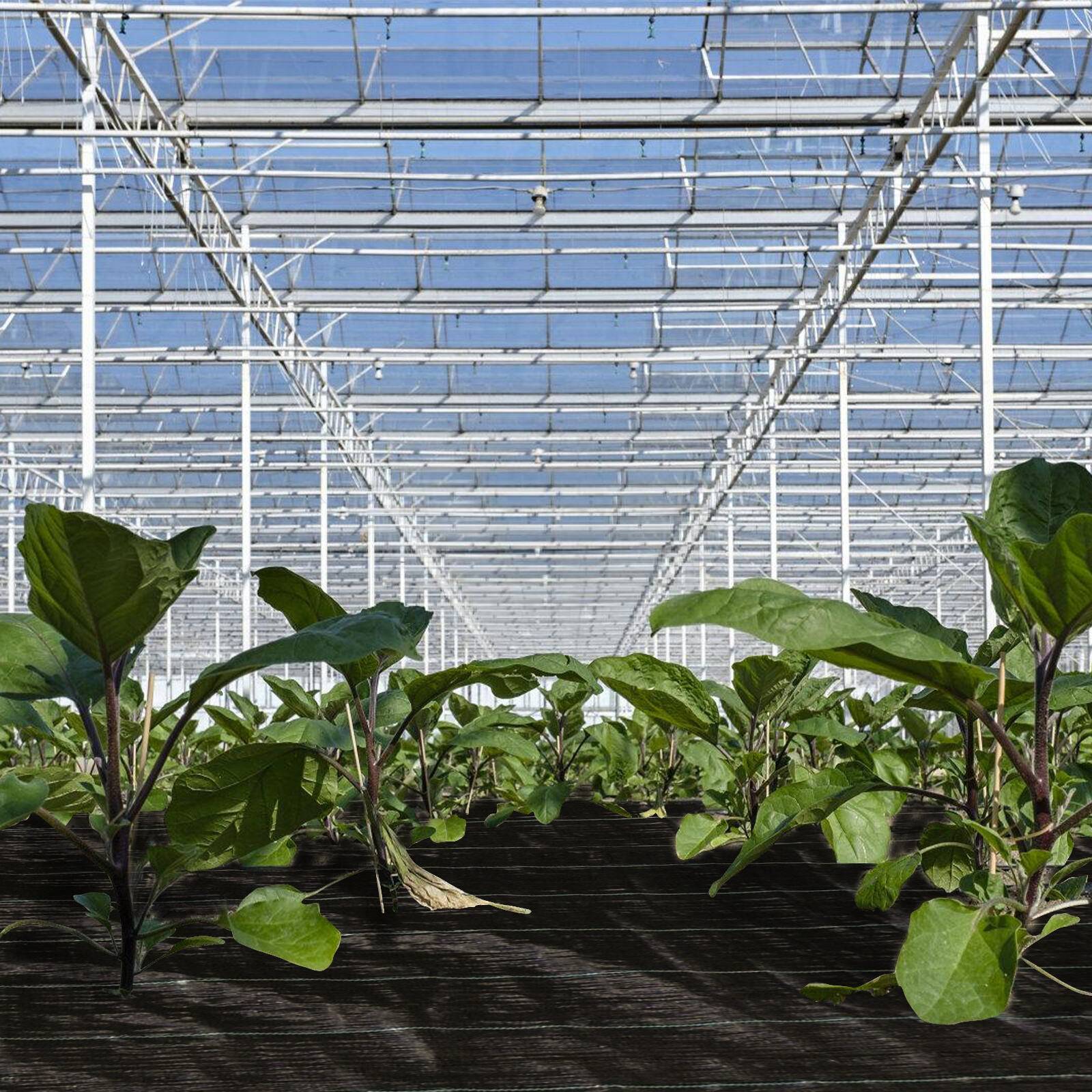 10m² Unkrautvlies Gartenvlies, 1x10m, 90g/m², Wasserdurchlässig Reißfest Unkraut Schutz Garten, Bodengewebe Mulchvlies