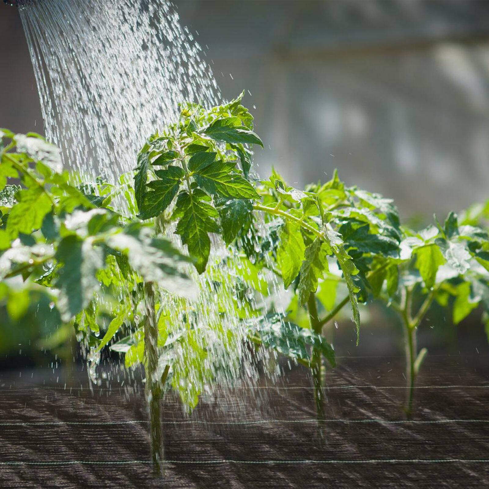 Unkrautvlies Gartenvlies 90g/m², Unkrautfolie 2m x 10m, Bodengewebe Mulchvlies, Schutz vor Wurzeln und Würmern, Schwarz, UV-beständig