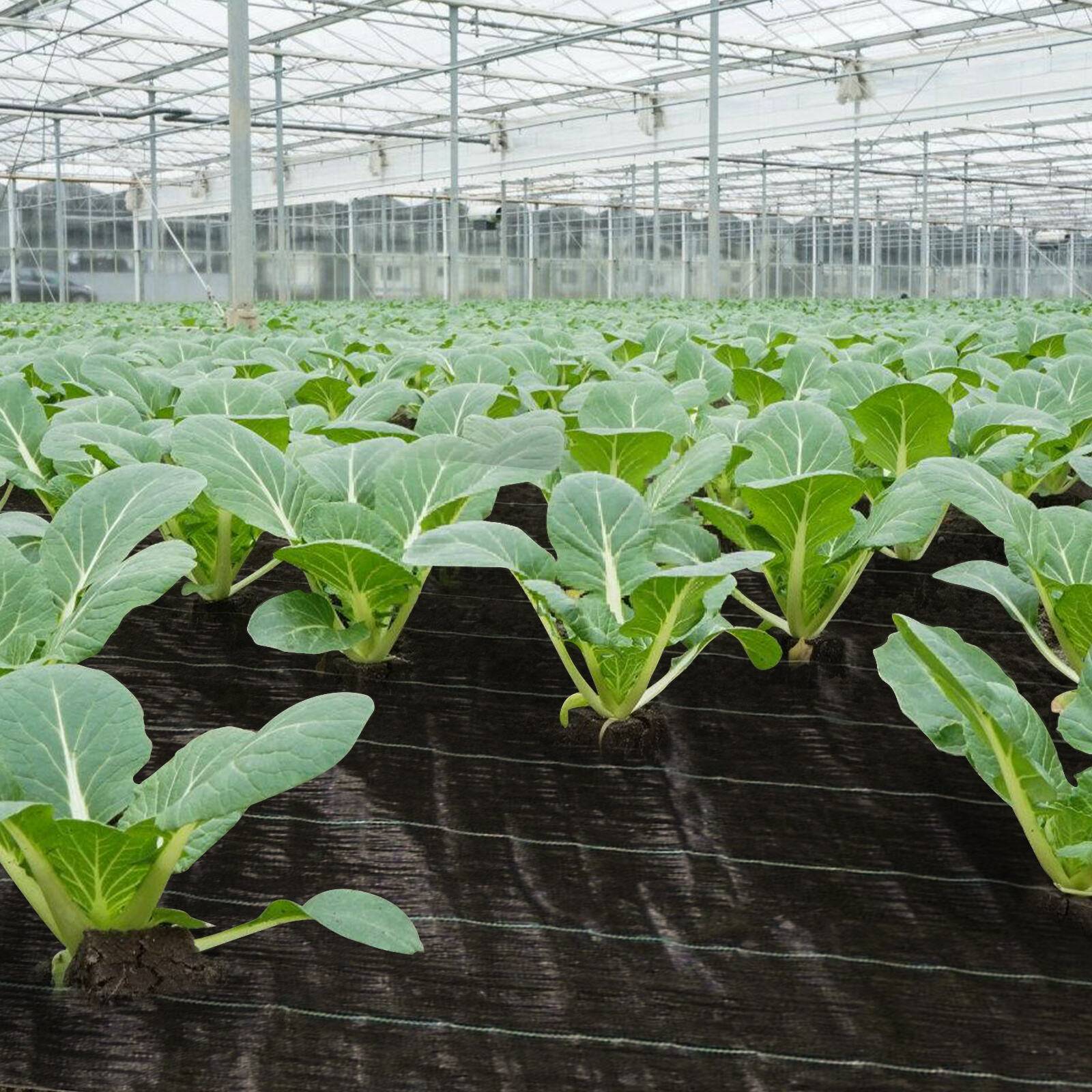 40m² Unkrautvlies, 4x10m, Gartenvlies, Wasserdurchlässig, 90g/m², Bodengewebe Mulchvlies, Reißfest