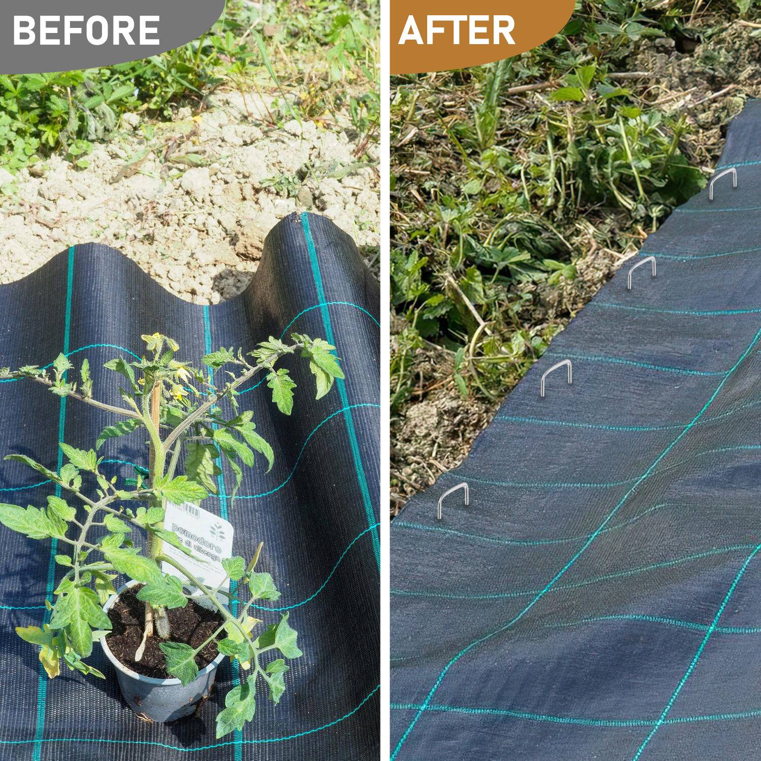 Anti-Rost Heringe 1000er Pack, Erdanker Bodenanker 150x25mm, Ø2.8mm, aus Verzinktem Stahl, Zelthering Zeltnagel Erdnagel