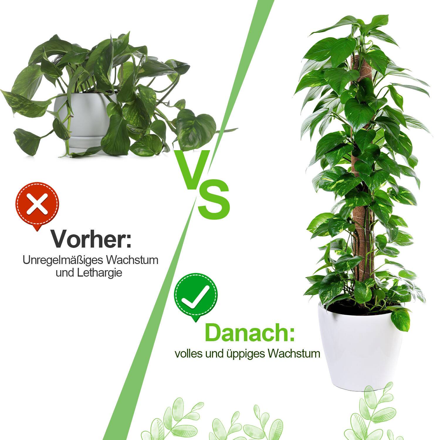 2x Kokos Pflanzstab 40cm Rankstab Moosstab Rankhilfe Kokosfaserstab Kokosstab verlängerbar Haus Garten