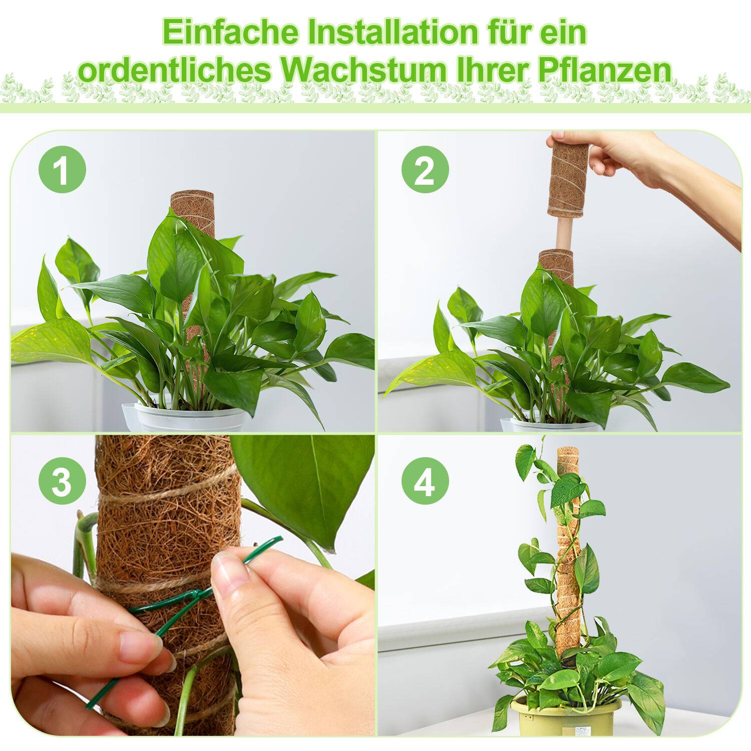 2x Kokos Pflanzstab 40cm Rankstab Moosstab Rankhilfe Kokosfaserstab Kokosstab verlängerbar Haus Garten