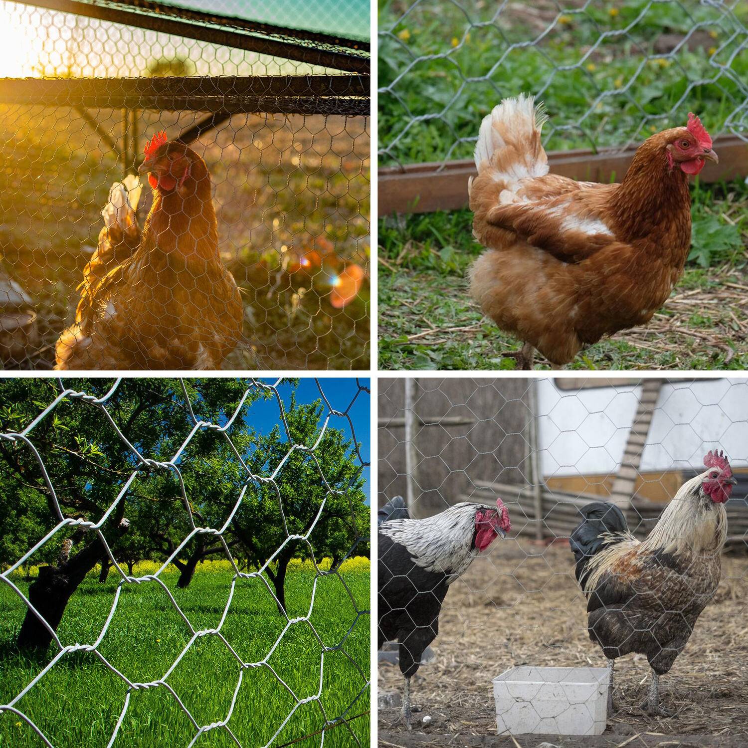 Drahtzaun Sechskantgeflecht 10/25m Silbrig Maschendrahtzaun 25mm aus verzinktem Stahl 0.5m x 25m