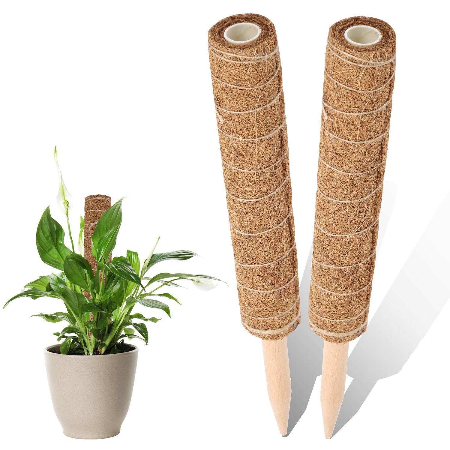2x Kokos Pflanzstab 40cm Rankstab Moosstab Rankhilfe Kokosfaserstab Kokosstab verlängerbar Haus Garten