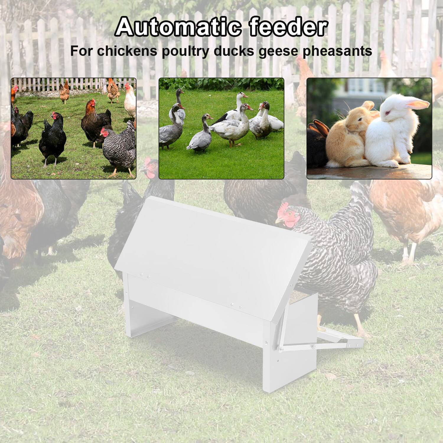 Futterautomat Hühner Hühnerfutterautomat für Geflügel, Wasserdicht und rattensicher aus Verzinkter Stahl 5KG Futterspender Futtertrog mit Automat