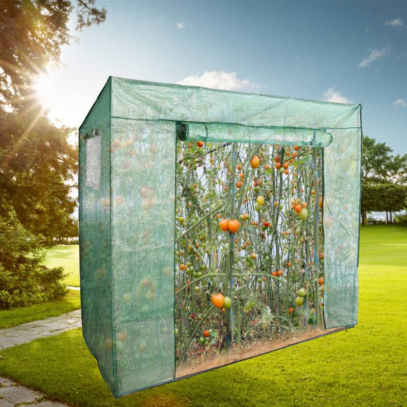 Foliengewächshaus Gewächshaus für Tomaten 200 x 80 x 170/140cm (LxBxH) , mit Gitternetzfolie und Fernster für Garten zur Aufzucht, Grün