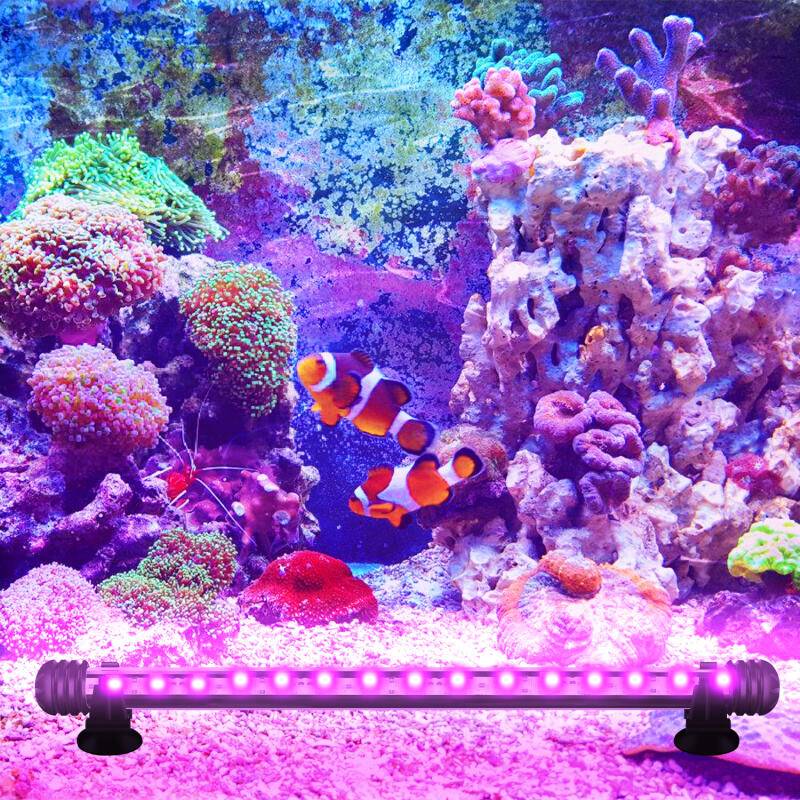 58cm LED Aquarium Beleuchtung IP67 Wasserfest RGB Licht Aufsetzleuchte Dimmbar Fisch Tank Unterwasser Lampe