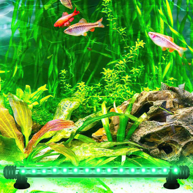 63cm LED Aquarium Beleuchtung IP67 Wasserfest RGB Licht Aufsetzleuchte Dimmbar Fisch Tank Unterwasser Lampe