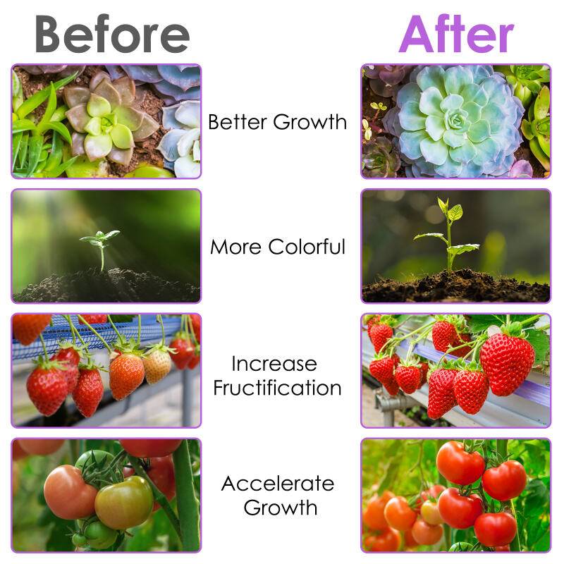 30W Wachstumslampe Grow Lampe LED Pflanzenlampe Vollspektrum Pflanzenlicht Zimmerpflanzen