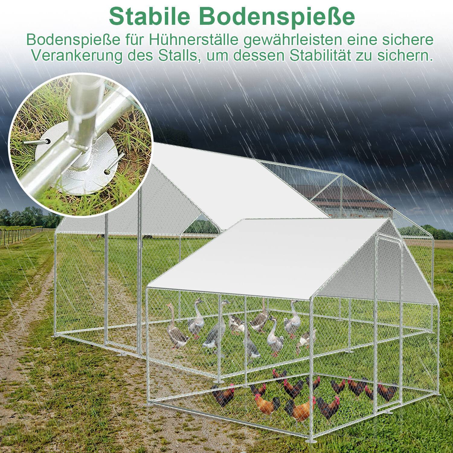 Freilaufgehege – Hühnerstall aus Metall begehbar, Tür & Riegel – Freigehege für Hühner, Kleintiere & Pflanzen - 3x8x2m mit 24 m² Lauffläche