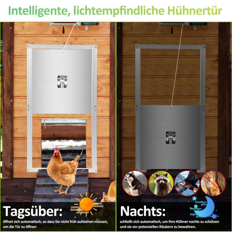 Automatische Hühnerklappe,IP44wasserdicht,aus Alu,mit LCD-Anzeige、Lichtsensor、Fernbedienung und Zeitschaltuhr,batteriebetrieben und Adapter,30x30