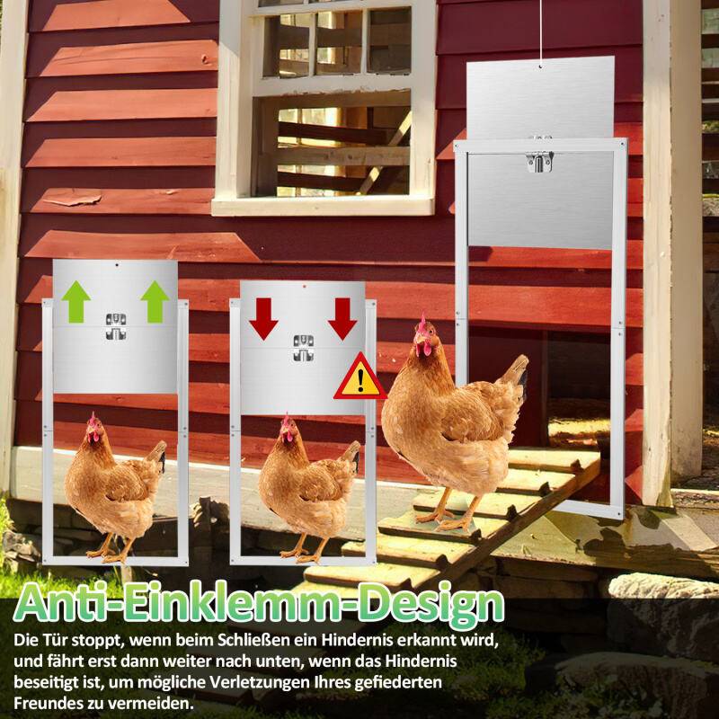 Automatische Hühnerklappe,IP44wasserdicht,aus Alu,mit LCD-Anzeige、Lichtsensor、Fernbedienung und Zeitschaltuhr,batteriebetrieben und Adapter,30x30