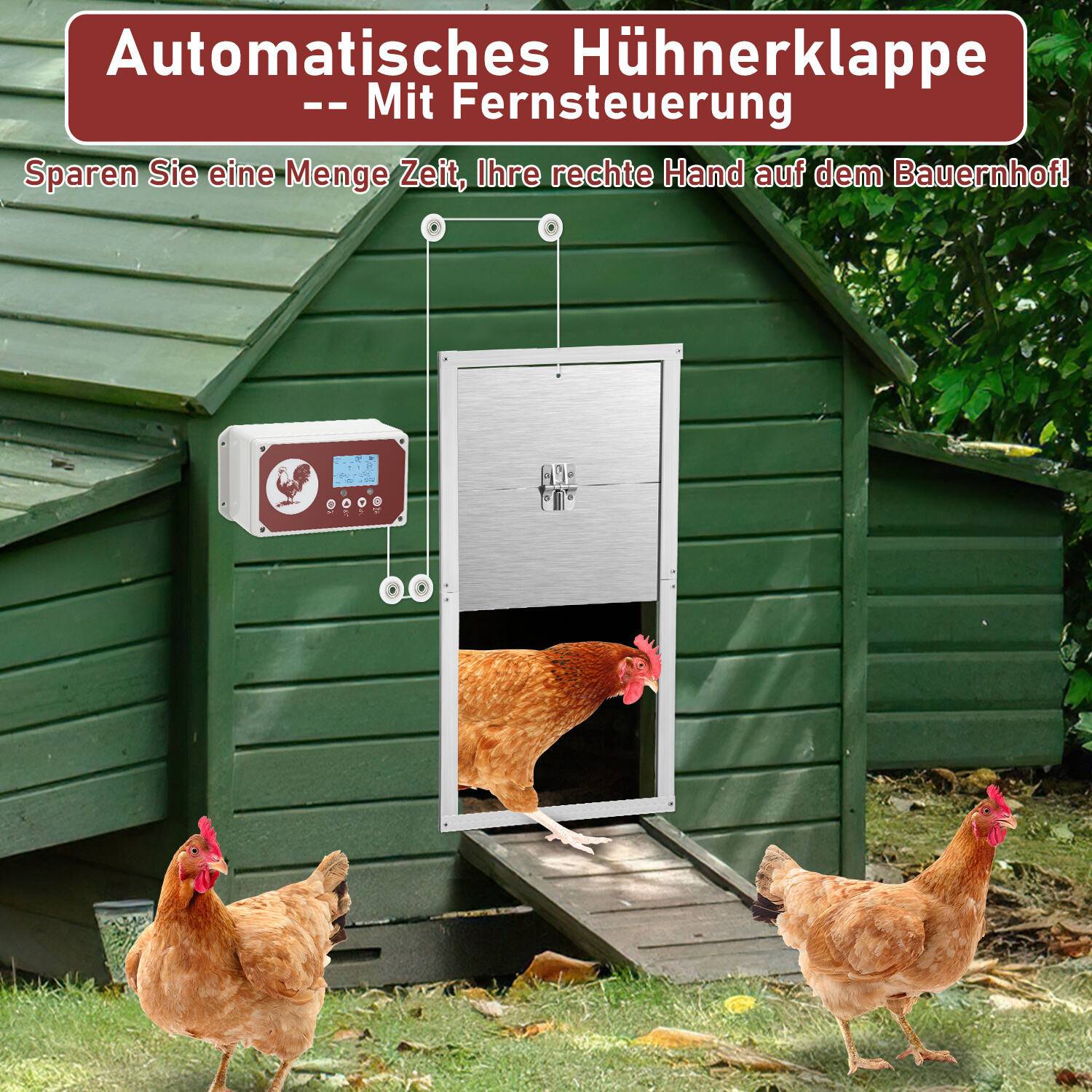 7.8W Automatische Hühnerklappe Hühnertür, 30*30cm Türöffner Hühnerstall mit Timer & Infrarotsensor Design