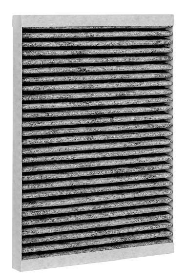 Wolf Aktivkohlefilter ePM 2,5 50% Set a 2 Stück, für CWL-F/T-300Excellent - 1670348