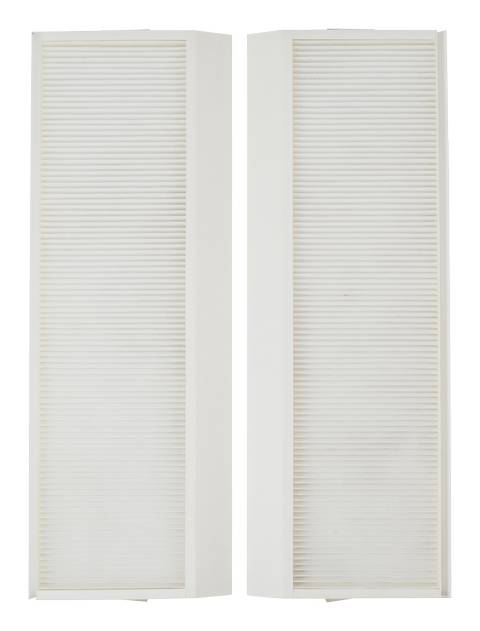 Wolf Pollenfilter-Set ePM1 50% 2 Stück, für CWL-2-450/600 - 1670523