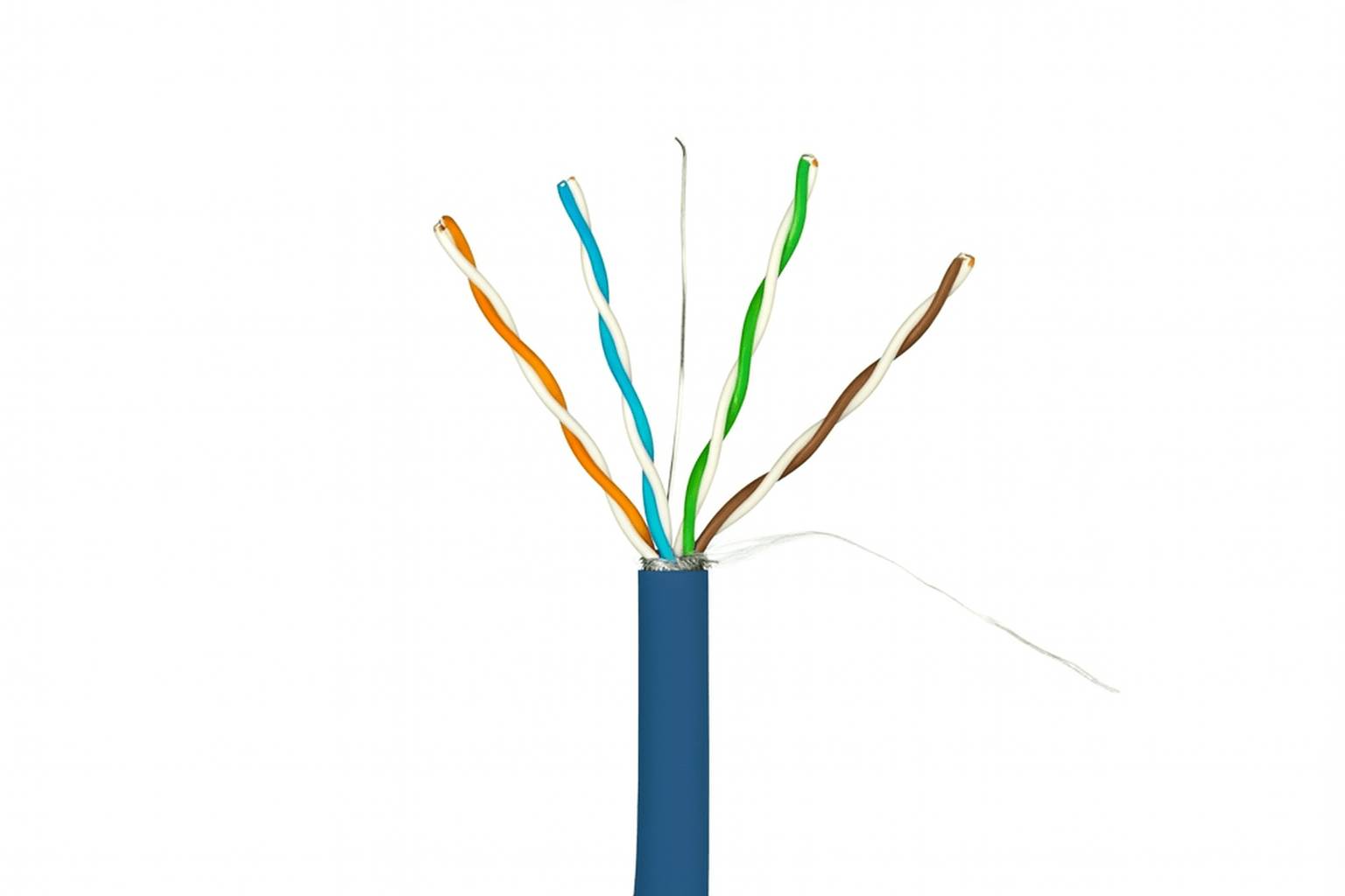 Ein blaues Ethernet-Kabel mit acht farbenfrohen, verdrehten Drahtpaaren, die für die Datenübertragung in Netzwerkverbindungen freigelegt sind.