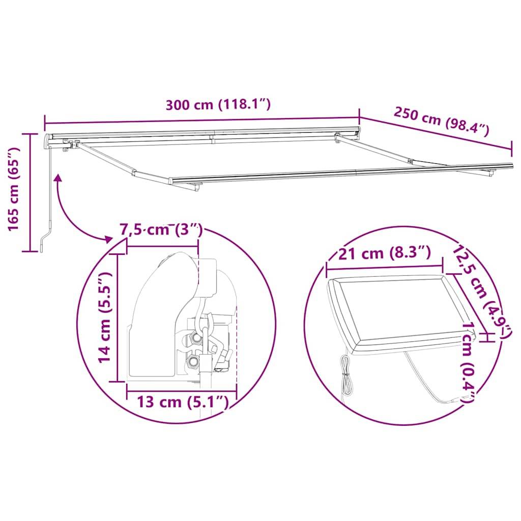vidaXL Markisenrahmen mit LED-Lichtleisten Weiß 300 x 250 cm Aluminium