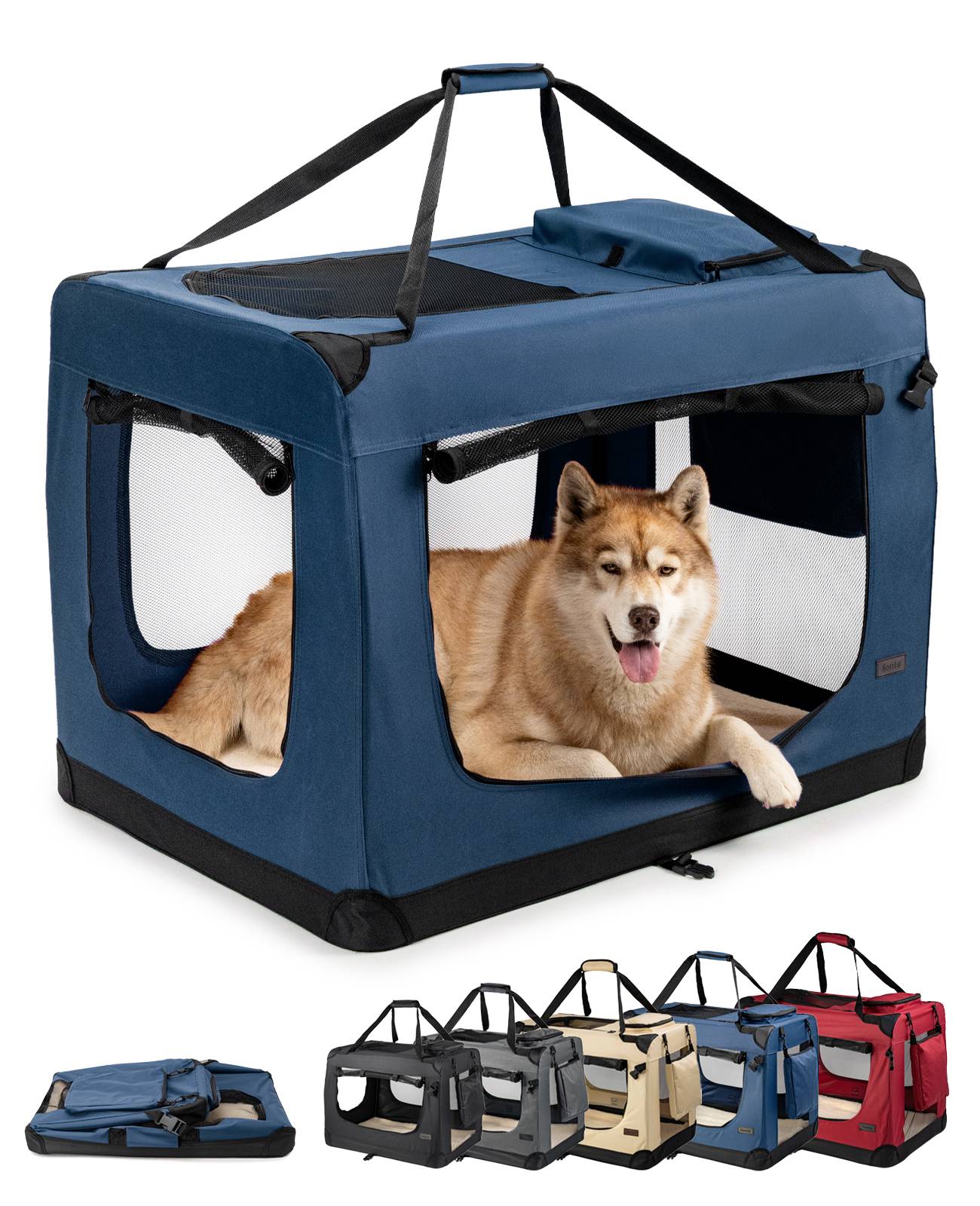 Ein fröhlicher Hund sitzt in einer blauen, tragbaren Transportbox für Haustiere mit Maschenfenstern. Verschiedenfarbige Transportboxen sind darunter ausgestellt.