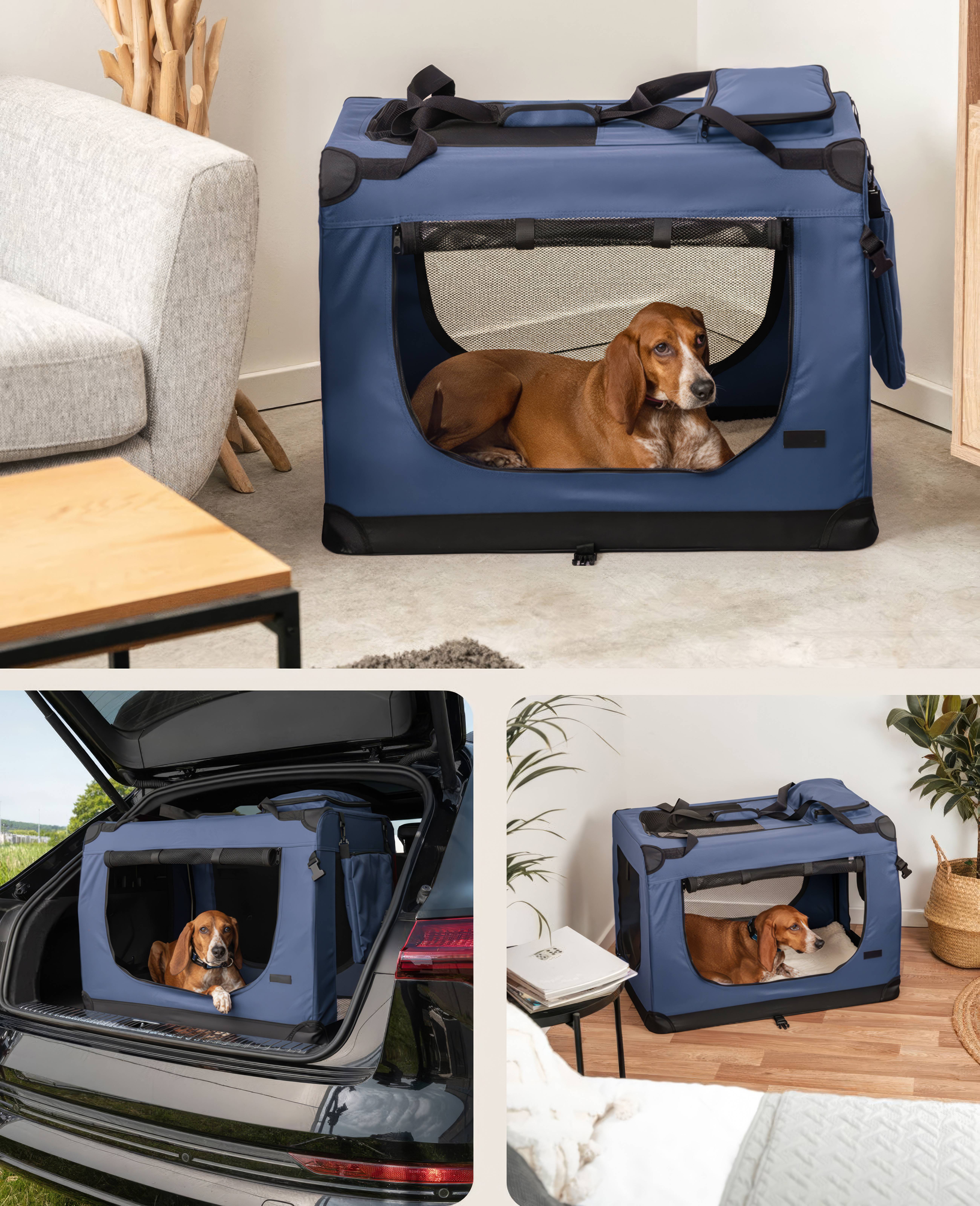 Ein Hund, der in einem blauen, tragbaren Haustier-Transportkorb ruht. Der Korb befindet sich an verschiedenen Orten: neben einem Sofa und im Kofferraum eines Autos.