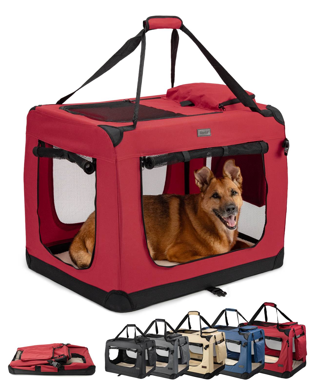 Ein fröhlicher Hund liegt in einer roten, tragbaren Tiertransportbox mit Maschenfenstern. Darunter ist die Box in verschiedenen Farben dargestellt, was die Auswahlmöglichkeiten veranschaulicht.