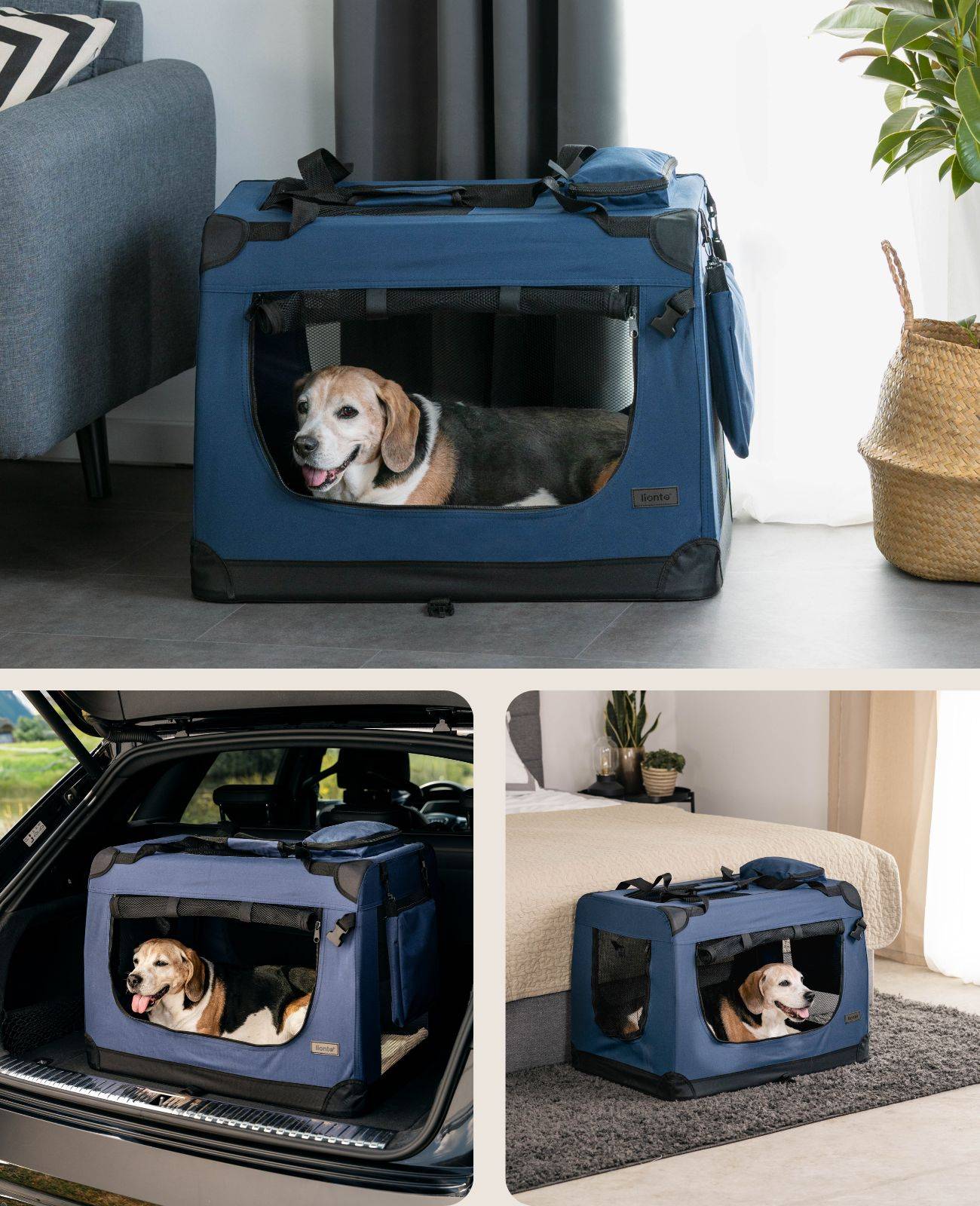 lionto Hundetransportbox faltbar, stabile Stoffbox mit Mesh-Einsätzen, ideal für Auto, Reise & Tierarzt, 70x52x50 cm, dunkelblau