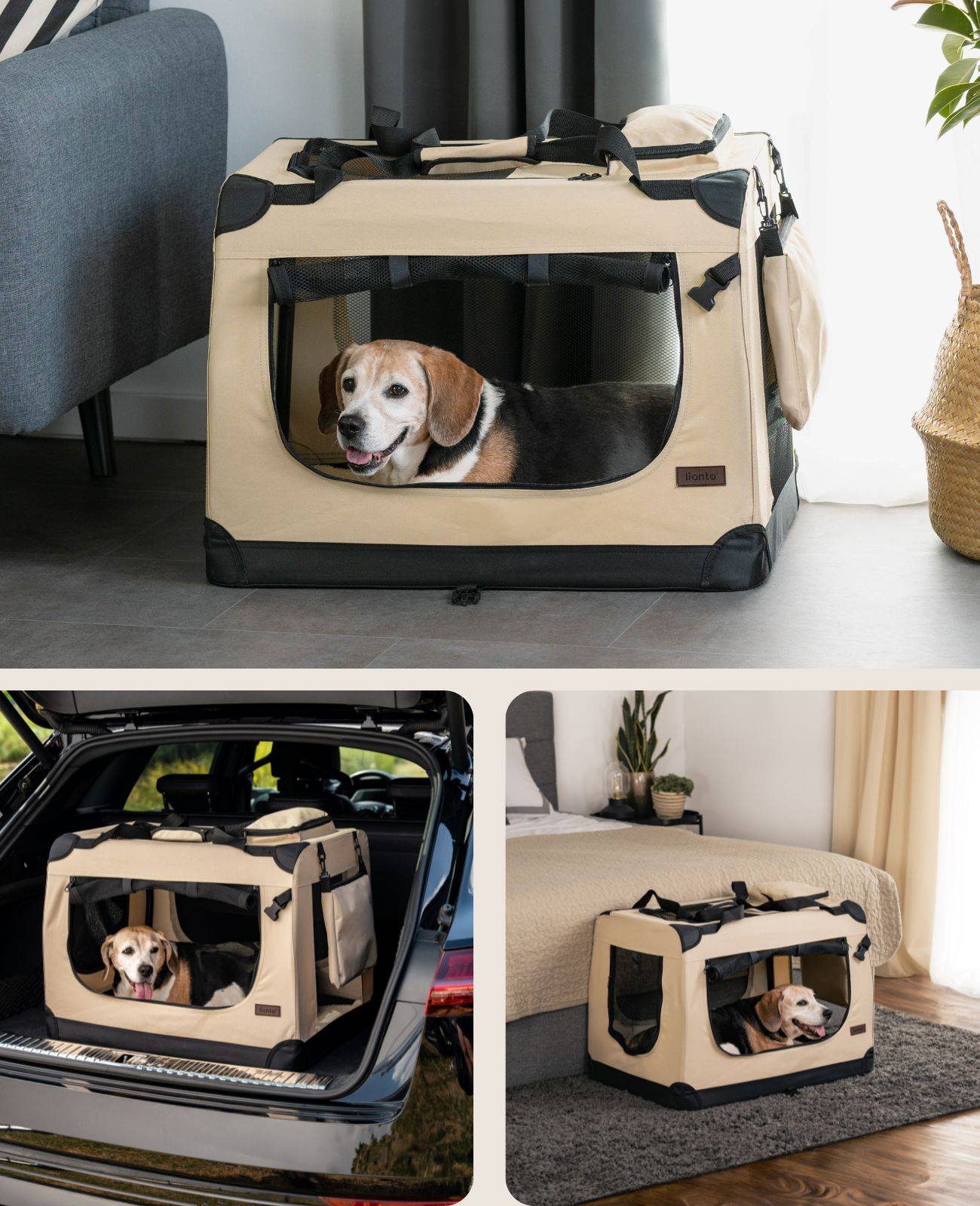 lionto Hundetransportbox faltbar, stabile Stoffbox mit Mesh-Einsätzen, ideal für Auto, Reise & Tierarzt, 70x52x50 cm, beige