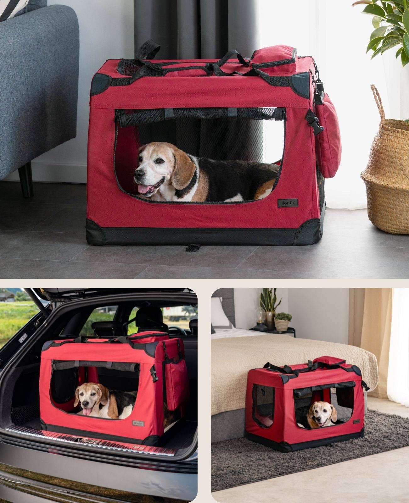 lionto Hundetransportbox faltbar, stabile Stoffbox mit Mesh-Einsätzen, ideal für Auto, Reise & Tierarzt, 70x52x50 cm, dunkelrot